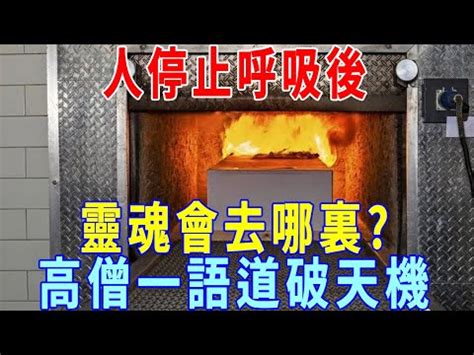 火化過程是否靈魂已跑走|遺體火化過程如何進行？火化至撿骨時間多久，12步驟。